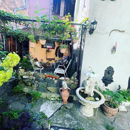 Ferienwohnung Casa Morar Sighişoara Exterior foto