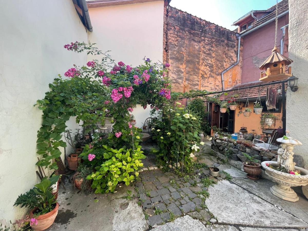 Ferienwohnung Casa Morar Sighişoara Exterior foto