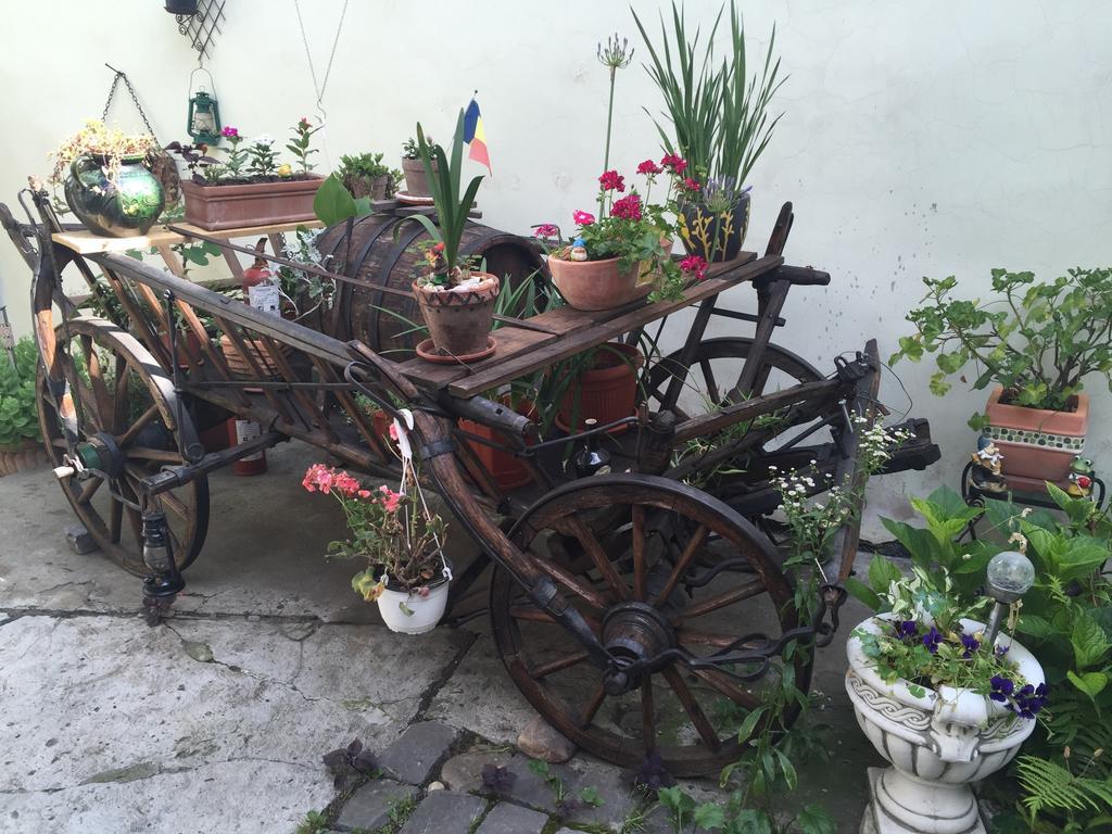 Ferienwohnung Casa Morar Sighişoara Exterior foto